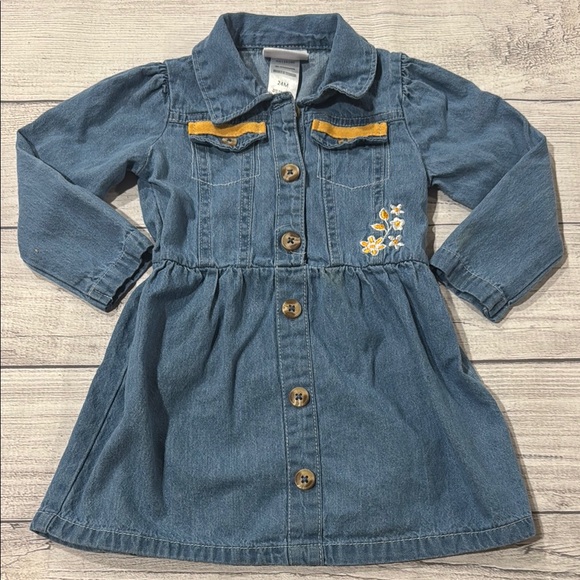 Little Lass Other - Little Lass Baby Girls Blue Denim Dress with Embroidered Floral Accents